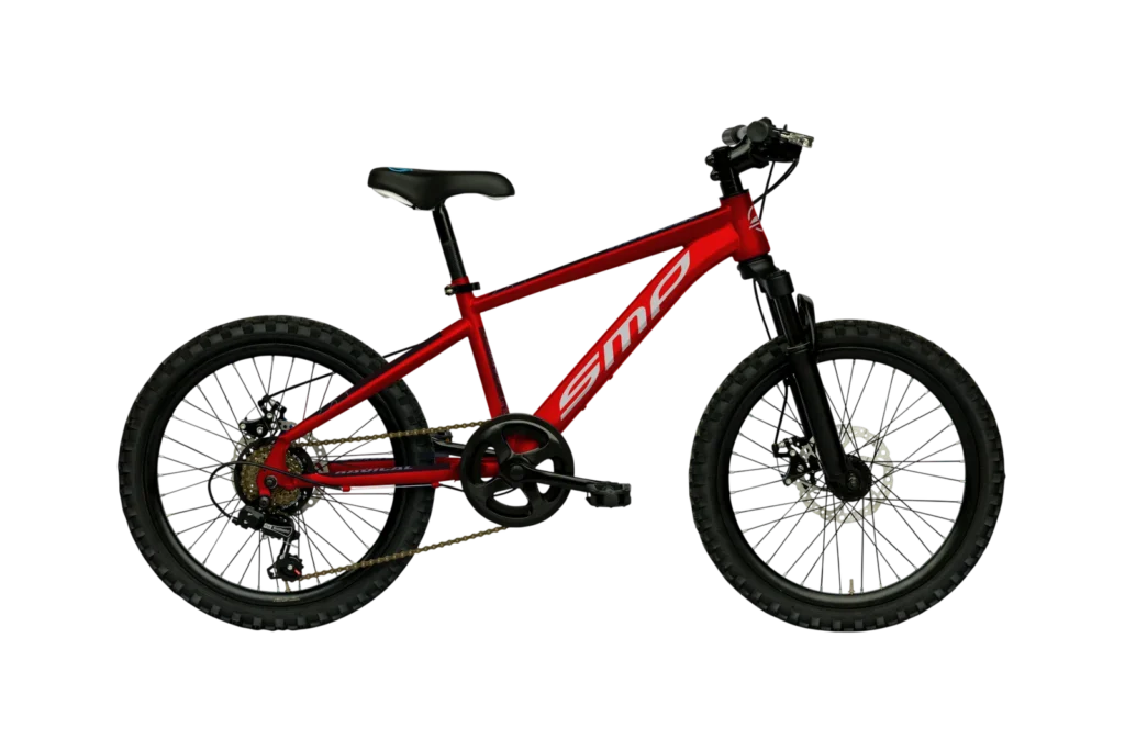 Radical — Kids 20″