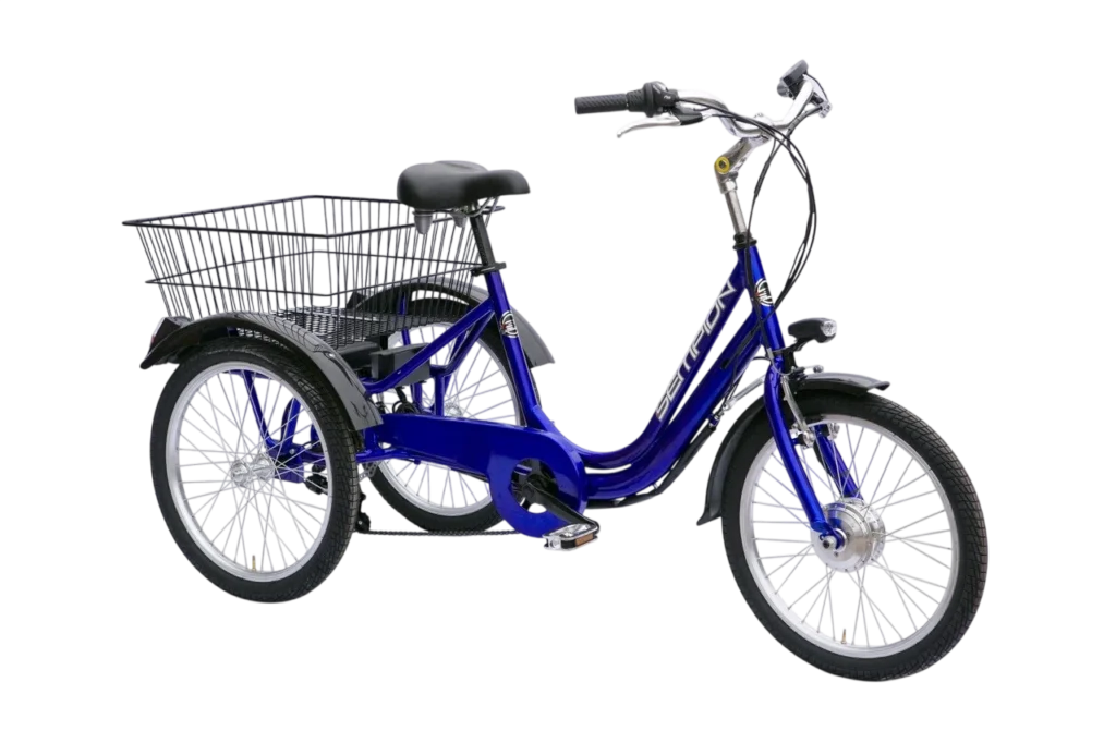 Tre Ruote 20″ Elettrica